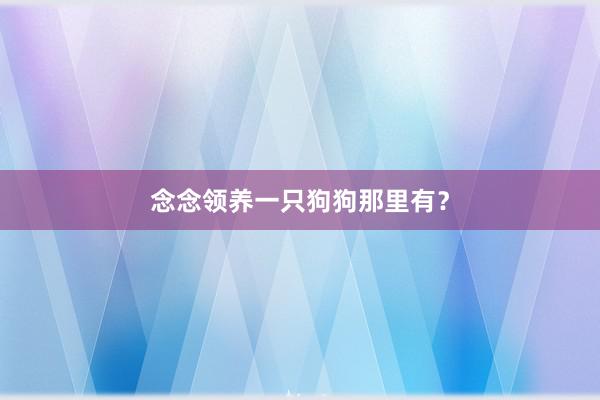念念领养一只狗狗那里有？